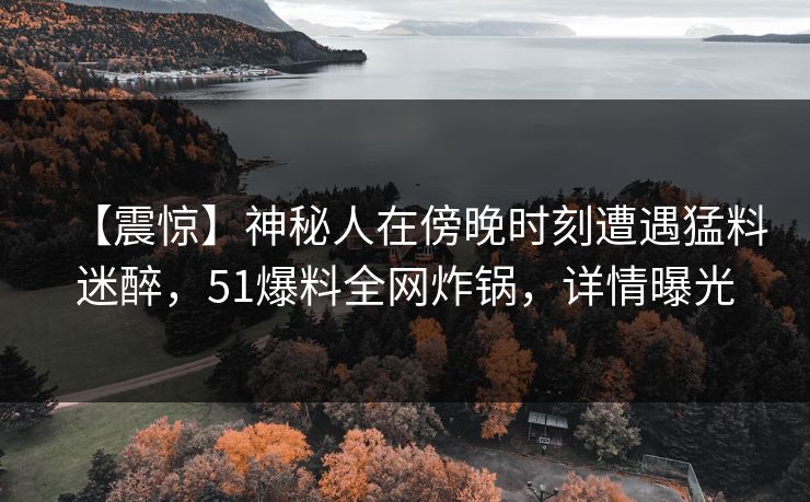 【震惊】神秘人在傍晚时刻遭遇猛料迷醉，51爆料全网炸锅，详情曝光