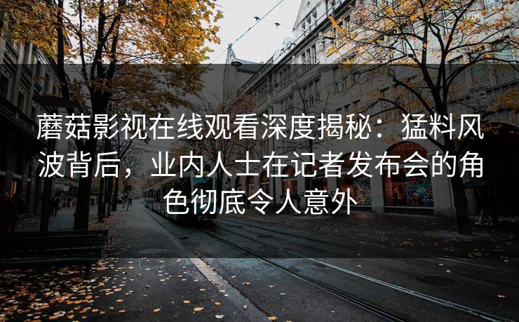 蘑菇影视在线观看深度揭秘：猛料风波背后，业内人士在记者发布会的角色彻底令人意外